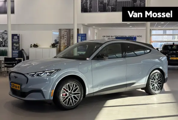 Extended Premium RWD 88 kWh | B&O | ADAPTIVE CRUISE CONTROL | ACHTERUITRIJCAMERA |