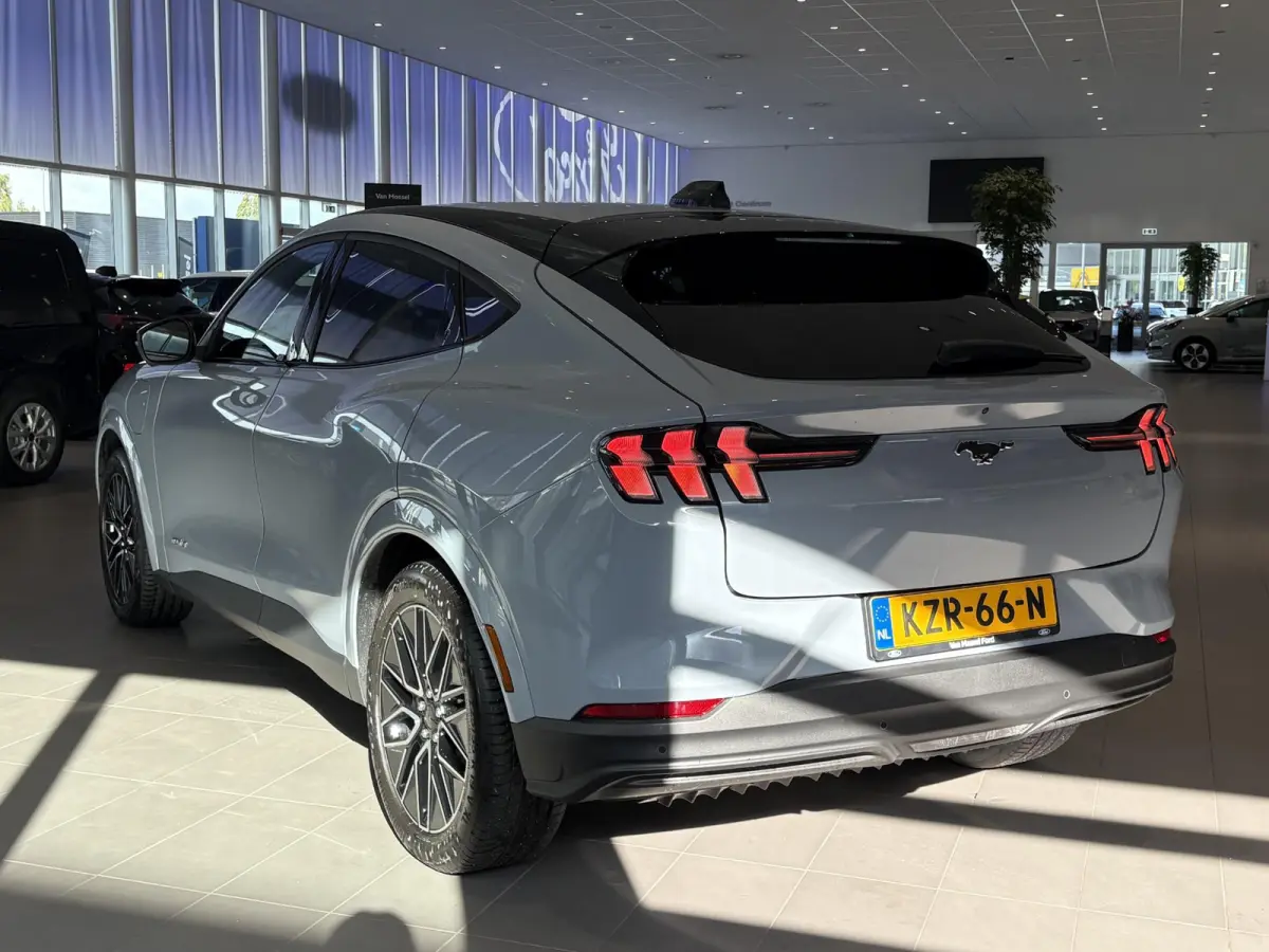 Extended Premium RWD 88 kWh | B&O | ADAPTIVE CRUISE CONTROL | ACHTERUITRIJCAMERA |