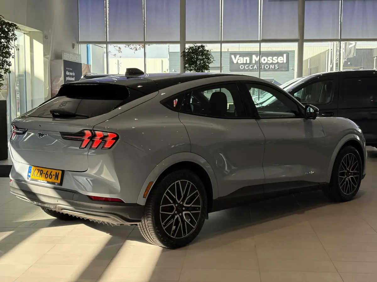 Extended Premium RWD 88 kWh | B&O | ADAPTIVE CRUISE CONTROL | ACHTERUITRIJCAMERA |