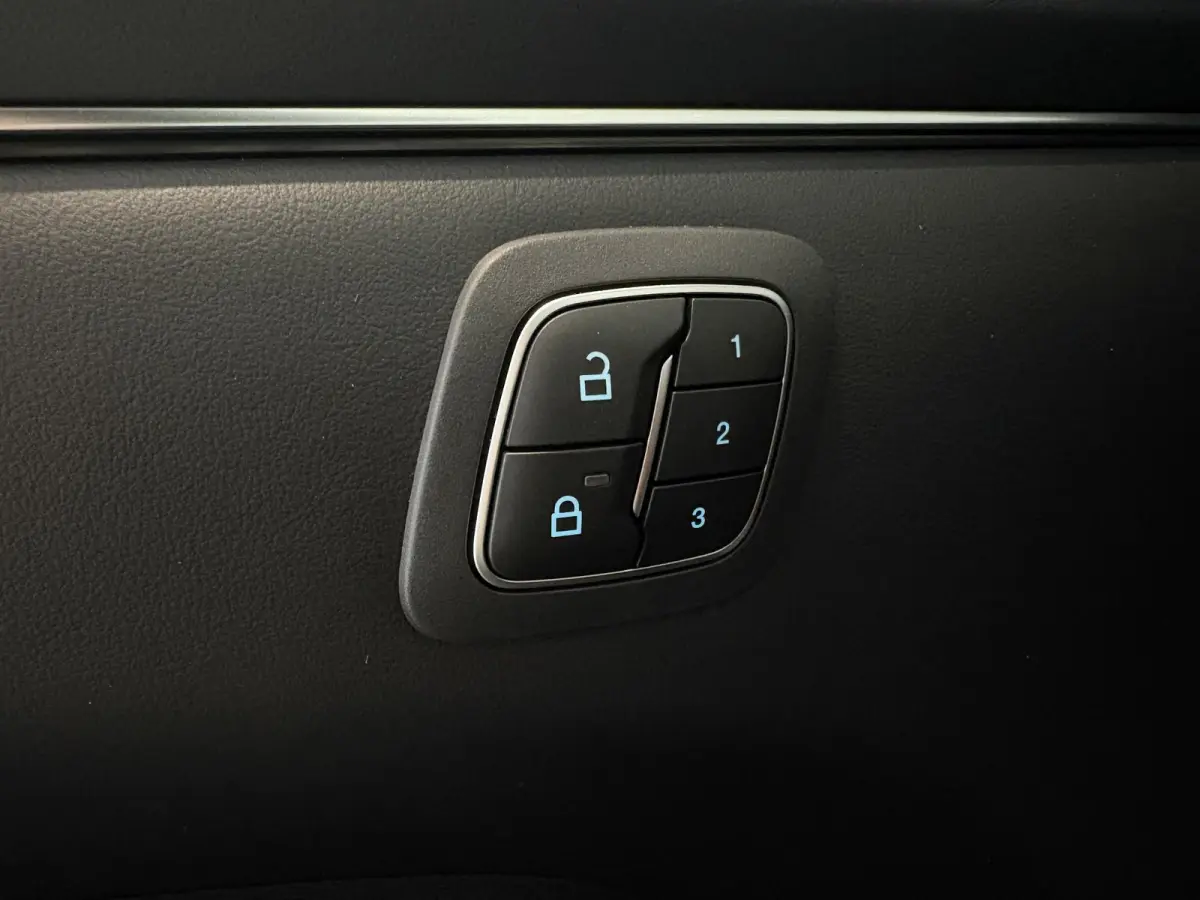 Extended Premium RWD 88 kWh | B&O | ADAPTIVE CRUISE CONTROL | ACHTERUITRIJCAMERA |