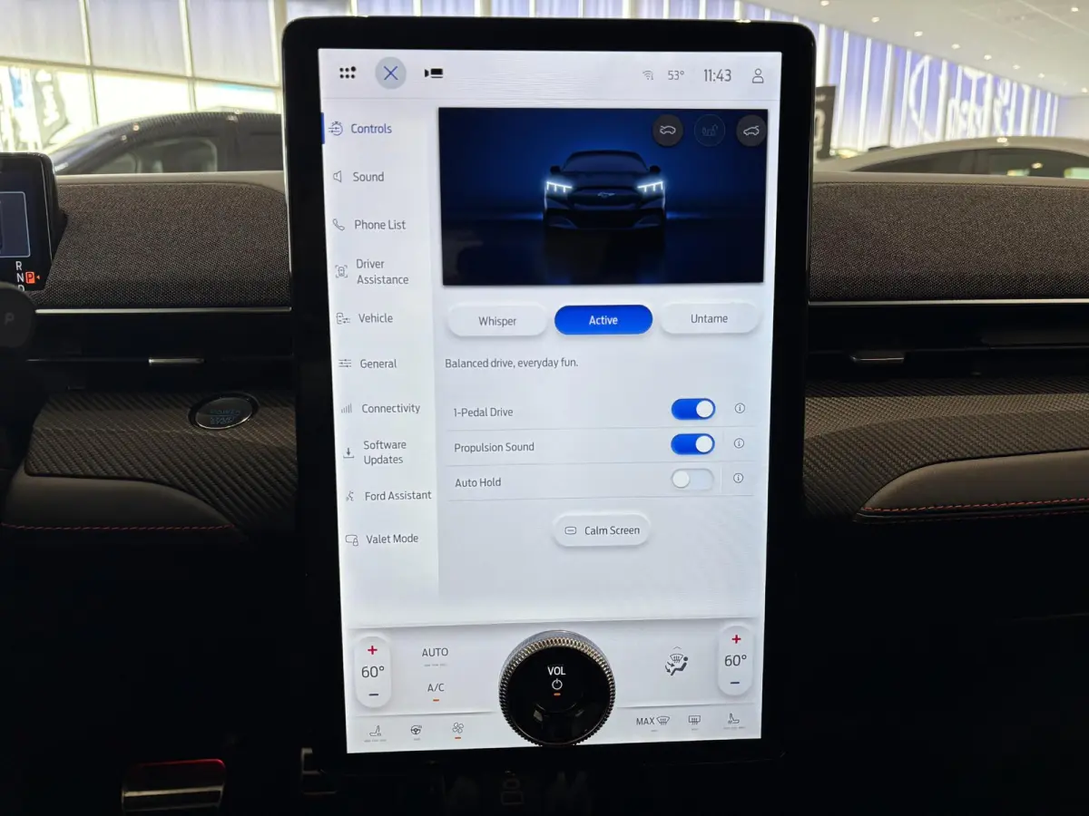 Extended Premium RWD 88 kWh | B&O | ADAPTIVE CRUISE CONTROL | ACHTERUITRIJCAMERA |
