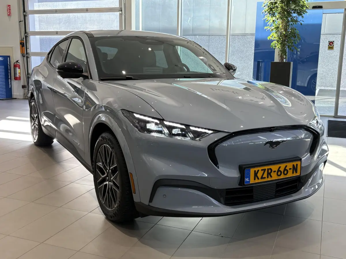 Extended Premium RWD 88 kWh | B&O | ADAPTIVE CRUISE CONTROL | ACHTERUITRIJCAMERA |