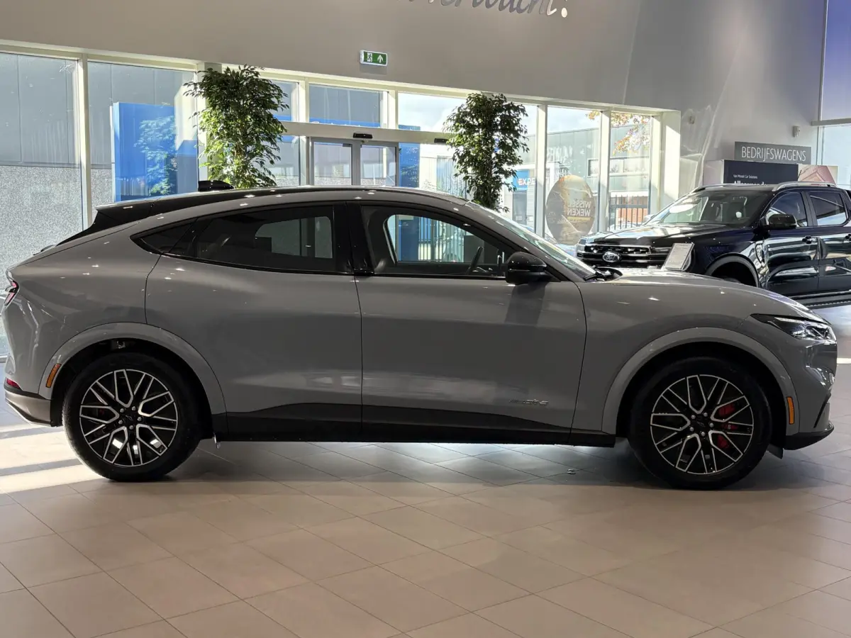Extended Premium RWD 88 kWh | B&O | ADAPTIVE CRUISE CONTROL | ACHTERUITRIJCAMERA |