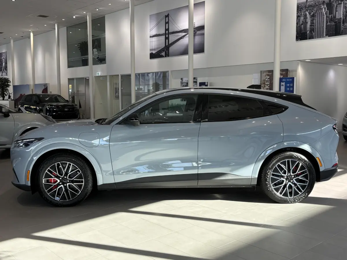 Extended Premium RWD 88 kWh | B&O | ADAPTIVE CRUISE CONTROL | ACHTERUITRIJCAMERA |