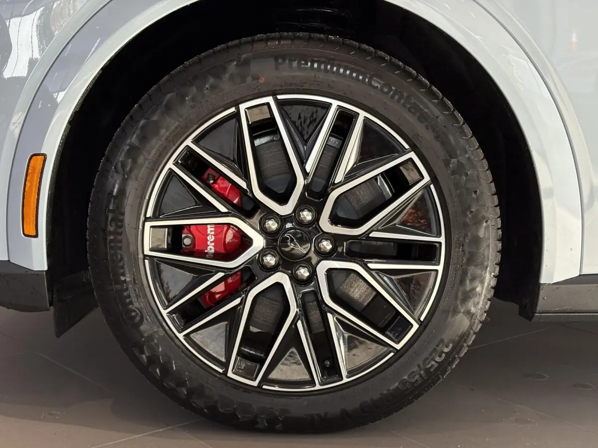 Extended Premium RWD 88 kWh | B&O | ADAPTIVE CRUISE CONTROL | ACHTERUITRIJCAMERA |