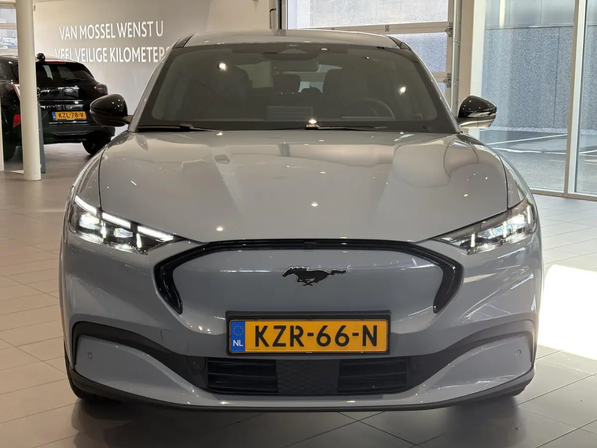 Extended Premium RWD 88 kWh | B&O | ADAPTIVE CRUISE CONTROL | ACHTERUITRIJCAMERA |
