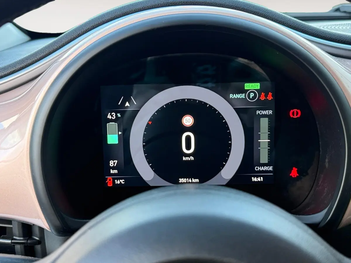 Icon 42 kWh | Keyless | Stoelverwarming | Camera | Lane Assist | Adaptive Cruise | Apple Carplay | Android Auto | LED | Lichtmetalen velgen | 1 Jaar Bovag Garantie