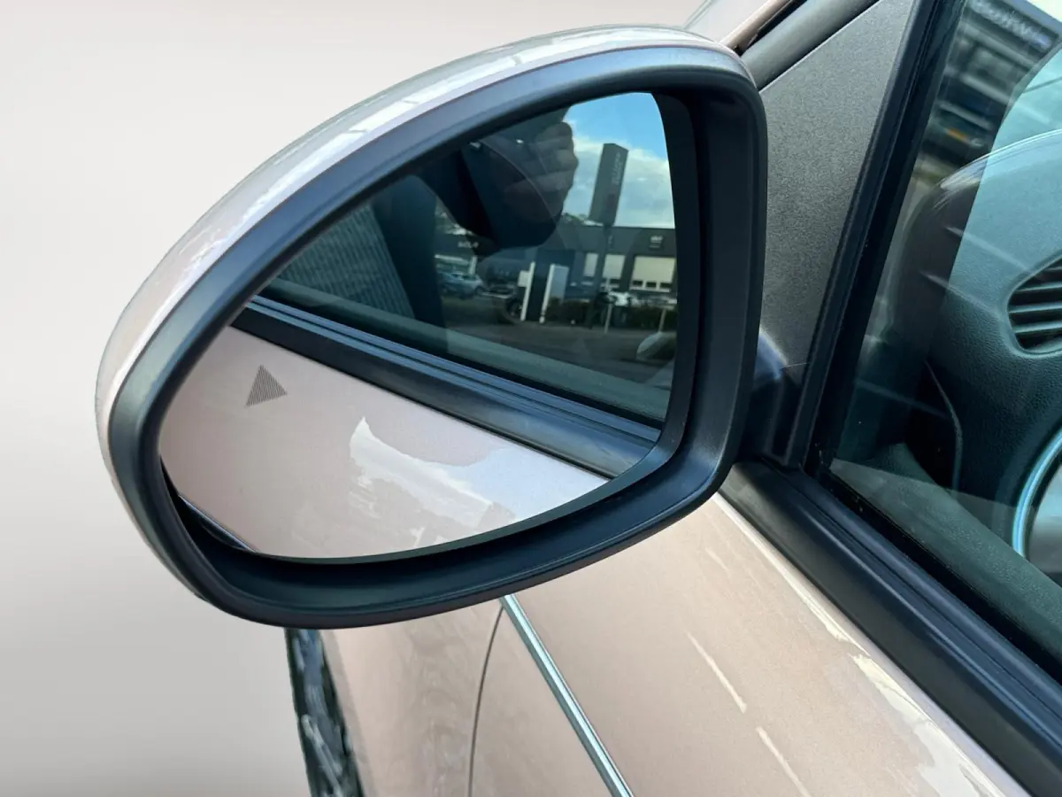 Icon 42 kWh | Keyless | Stoelverwarming | Camera | Lane Assist | Adaptive Cruise | Apple Carplay | Android Auto | LED | Lichtmetalen velgen | 1 Jaar Bovag Garantie