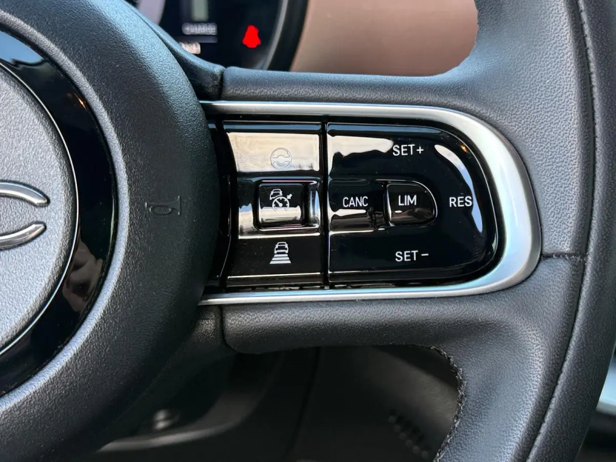 Icon 42 kWh | Keyless | Stoelverwarming | Camera | Lane Assist | Adaptive Cruise | Apple Carplay | Android Auto | LED | Lichtmetalen velgen | 1 Jaar Bovag Garantie