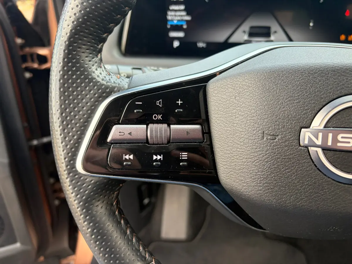 Advance 66 kWh|Rijklaar prijs|360 camera|Elek. stoelen|Stoel/stuur verw.|CarPlay|