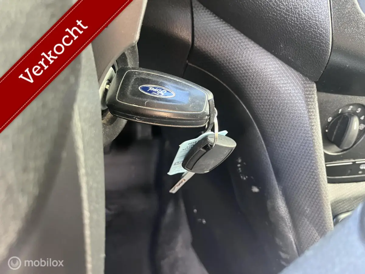 1.5 EcoBlue Lange uitvoering Ambiente 3 Zitplaatsen EURO 6