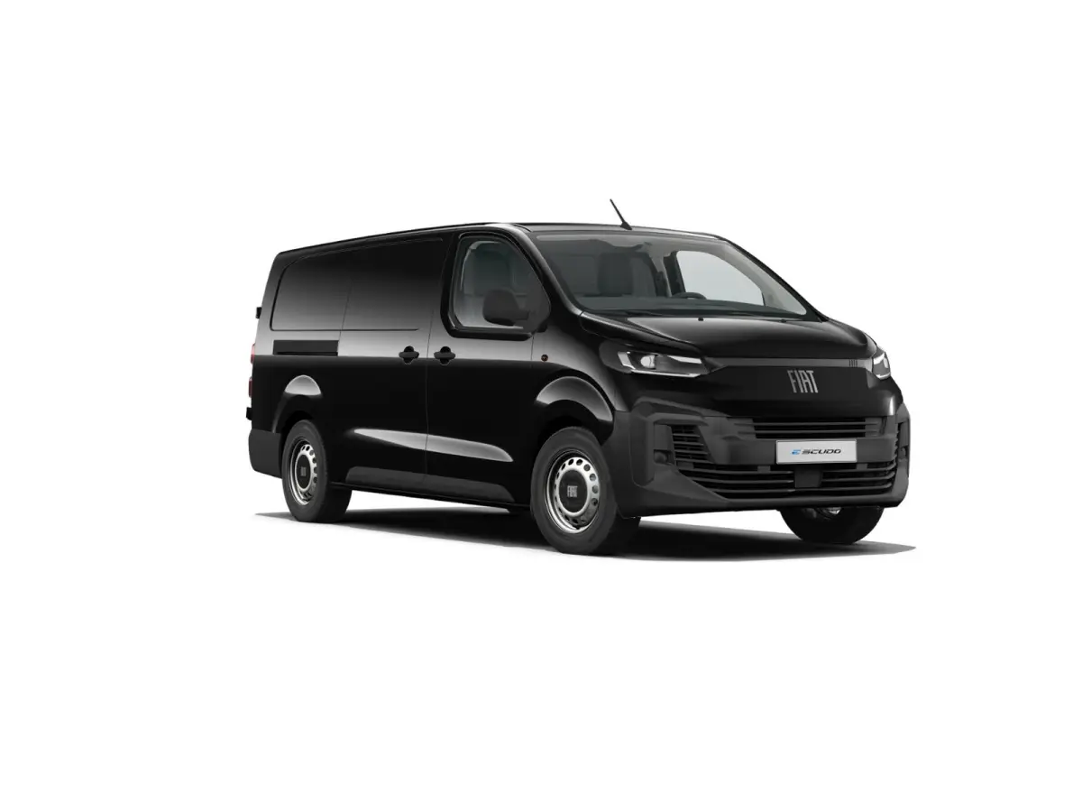 Professional Standaard | ABS met noodremassistentie / ESP en Hill Start Assist | Automatisch inschakelende verlichting en ruitenwissers | Cruise control met snelheidsbegrenzer (bediening ach