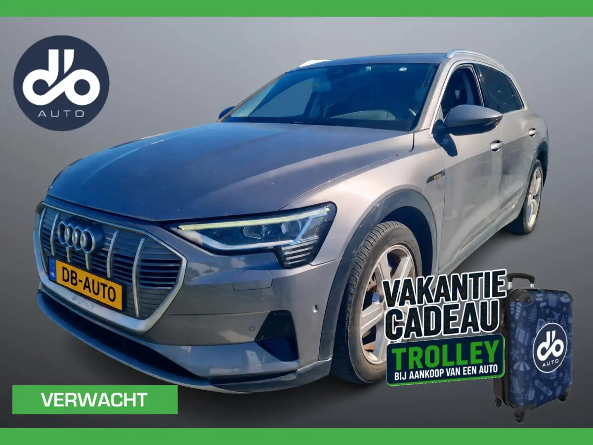 55 quattro edition 95 kWh SOH 88% I PANO I LEER I CAMERA I SFEERVERLICHTING I 20" LMV
