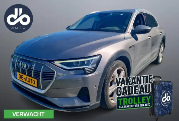 55 quattro edition 95 kWh SOH 88% I PANO I LEER I CAMERA I SFEERVERLICHTING I 20" LMV