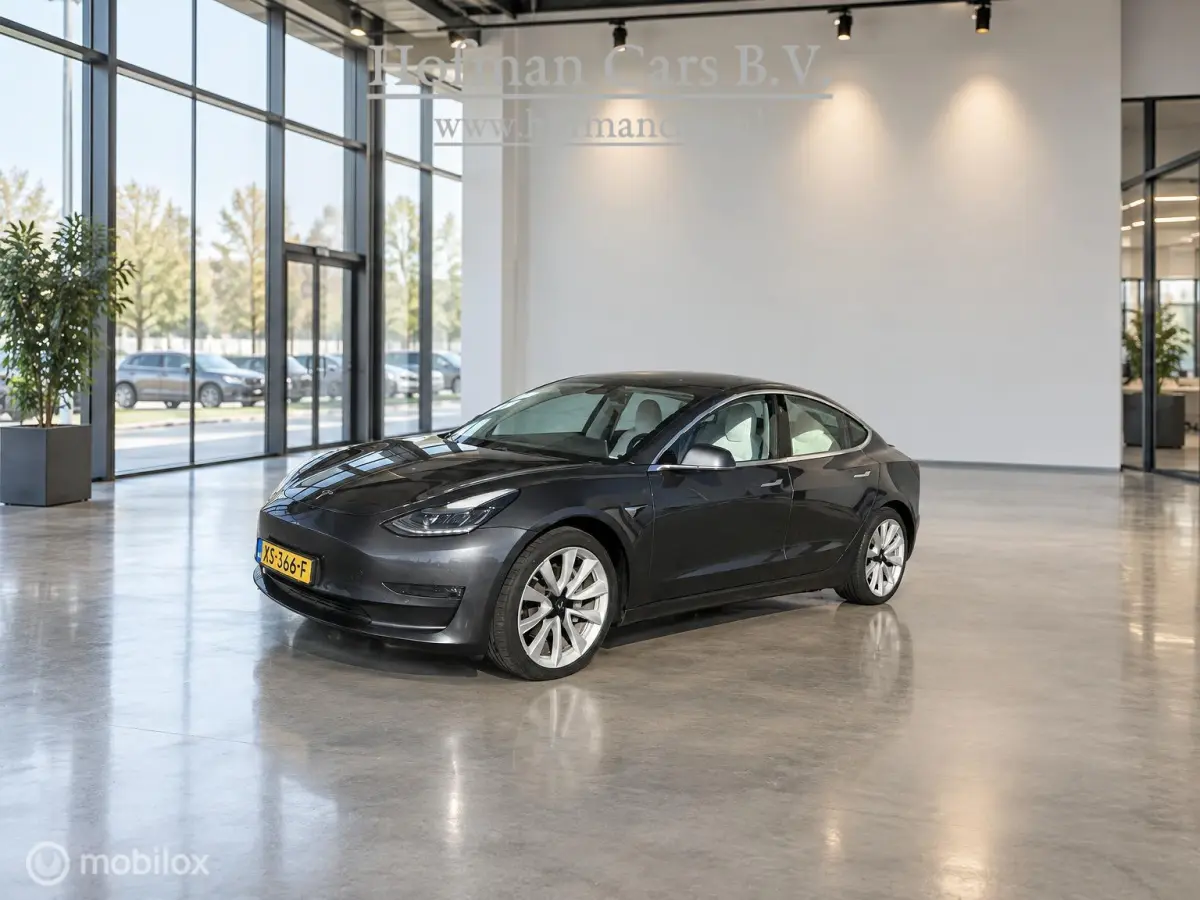 Long Range AWD 75 kWh | Grijs | Wit Interieur | 19” Performance Look | SOH 82% | Marge