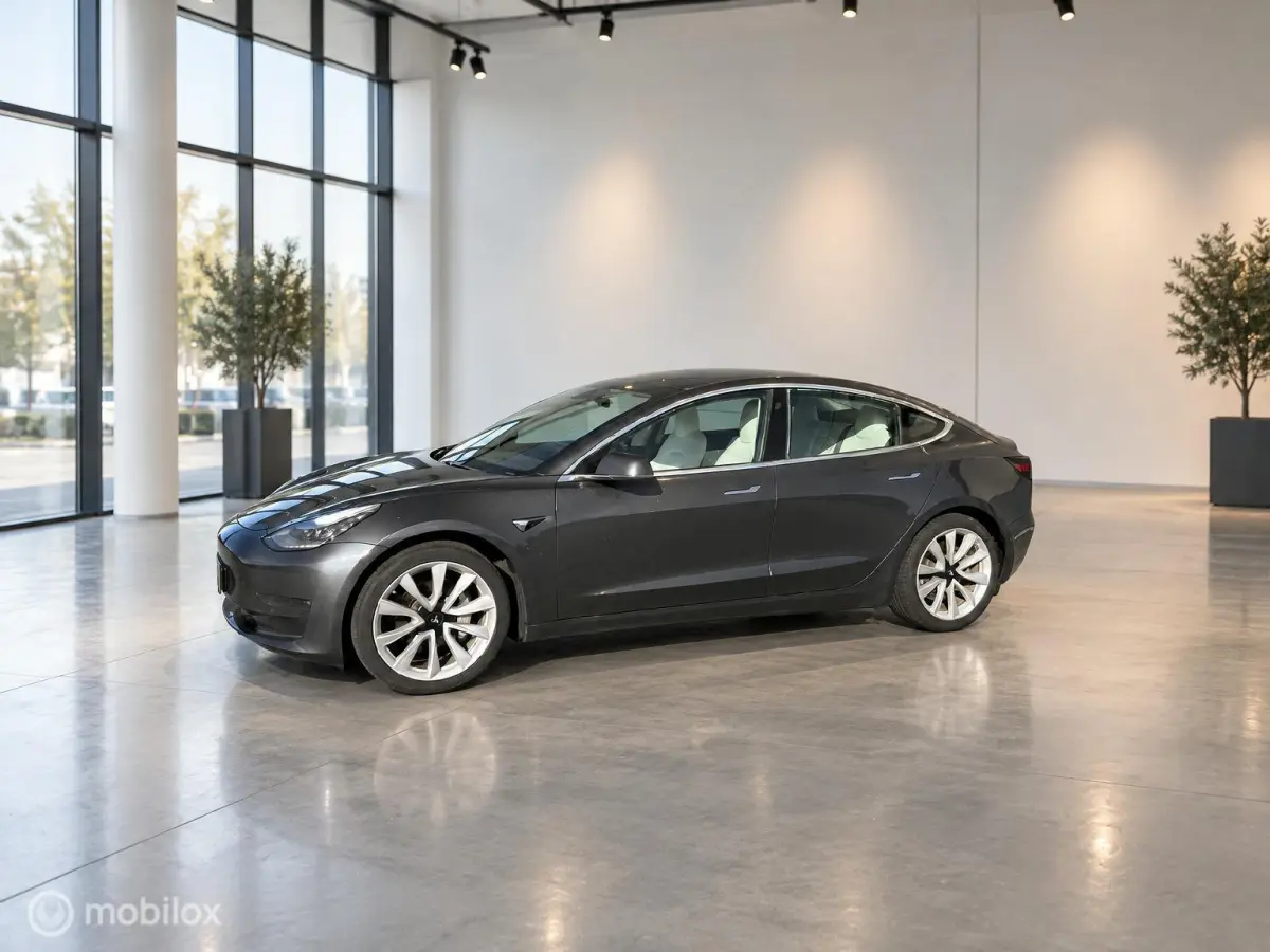 Long Range AWD 75 kWh | Grijs | Wit Interieur | 19” Performance Look | SOH 82% | Marge