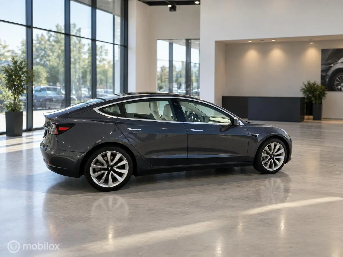 Long Range AWD 75 kWh | Grijs | Wit Interieur | 19” Performance Look | SOH 82% | Marge