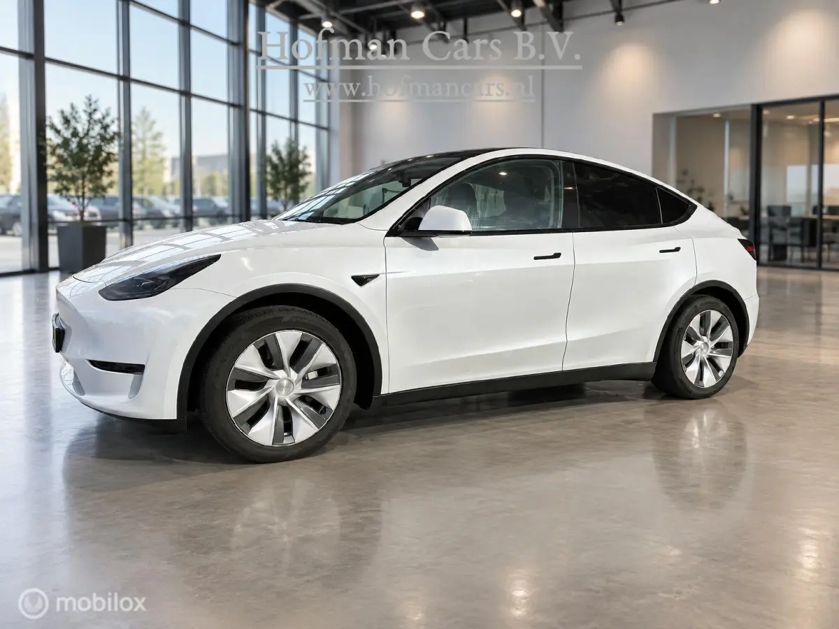 RWD 58 kWh LFP | Pearl White | Warmtepomp | 12/2022 | Incl. BTW