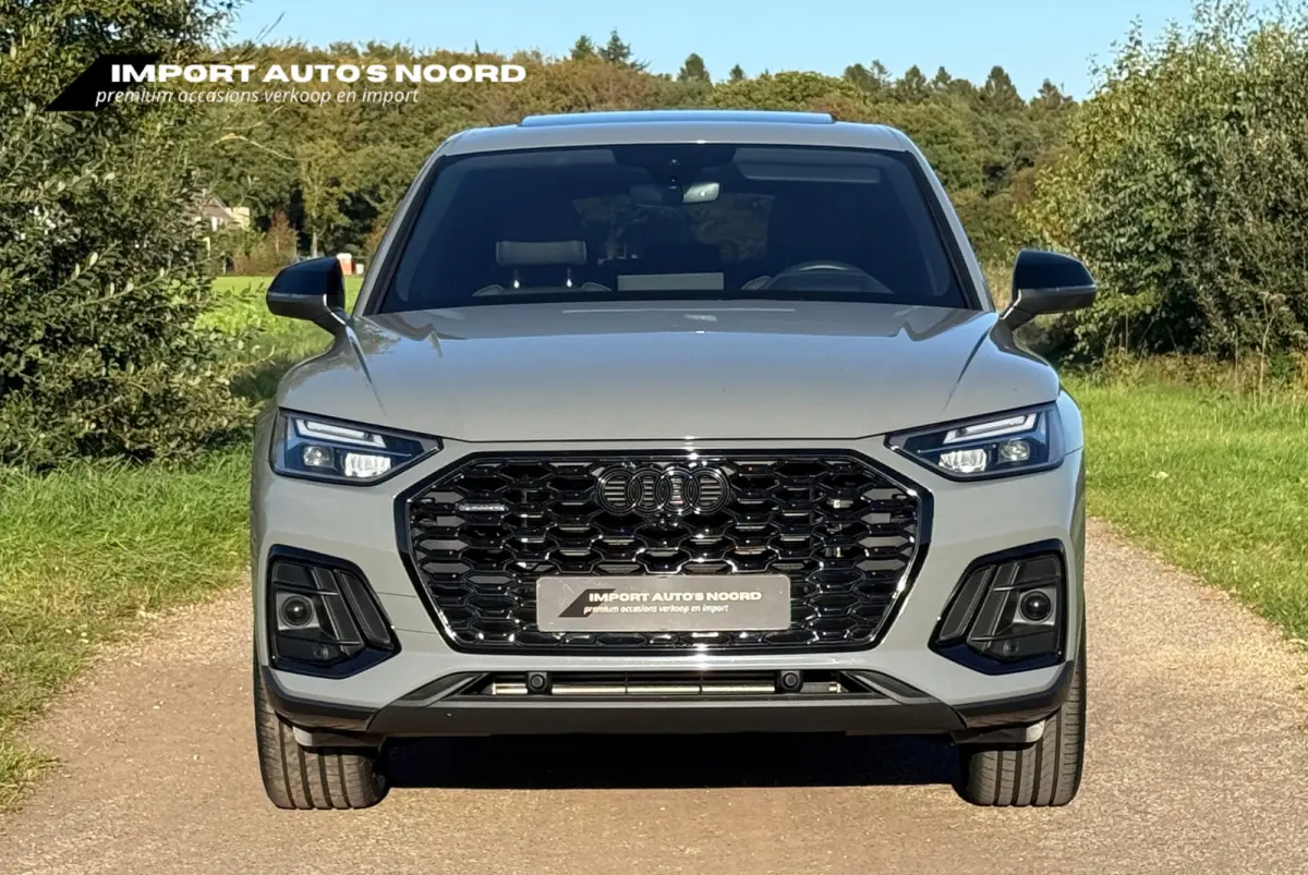 50 TFSI e S edition Competition Pano SQ5 Sfeerverlichting Trekhaak Camera ACC