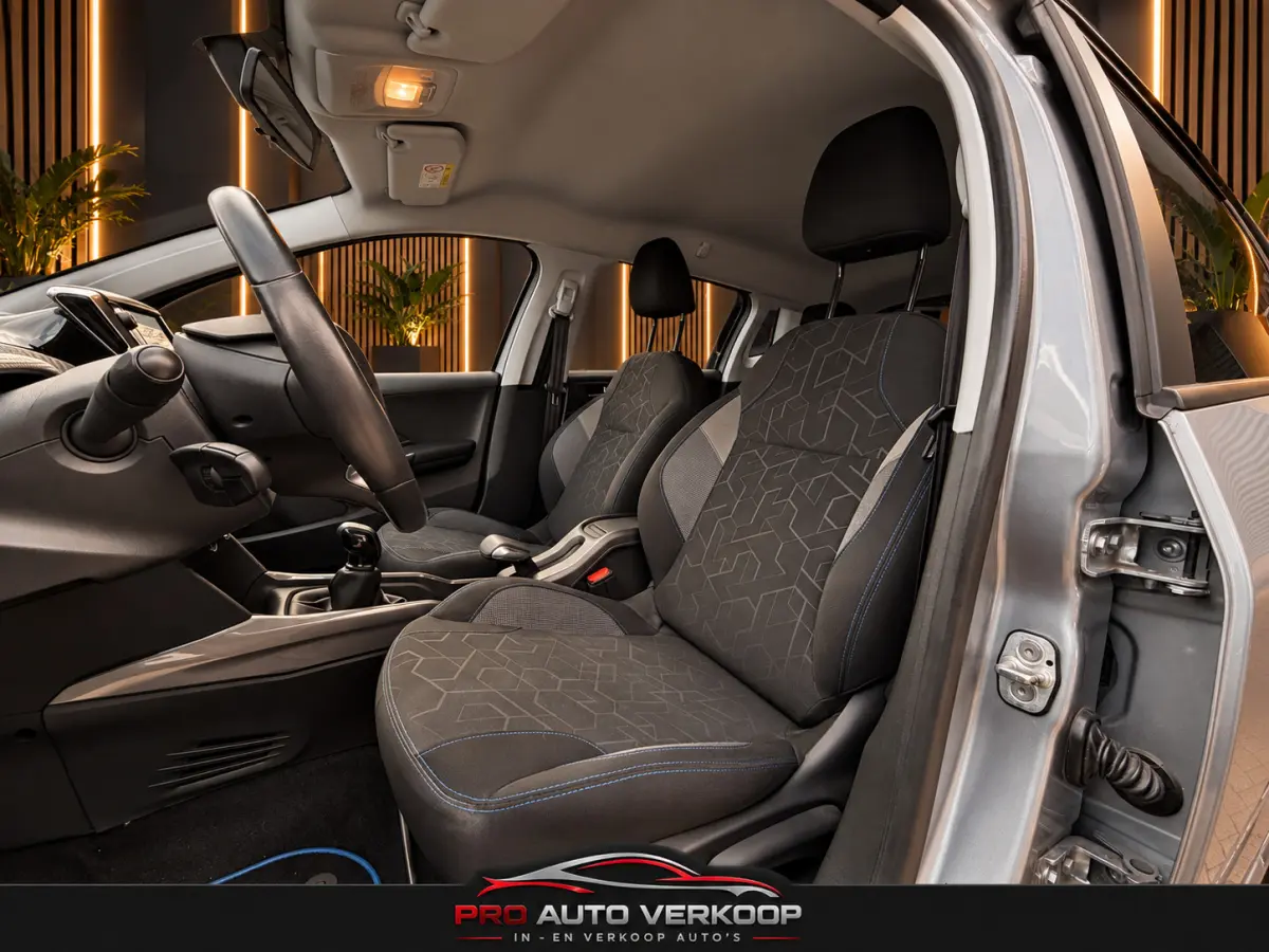1.2 PureTech Active Carplay_Cruise_Goedonderhouden