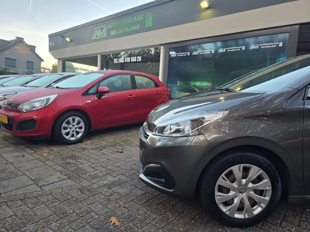 1.2 PureTech Blue Lion | 2E EIGENAAR | 3/6 OF 12 MND GARANTIE | AIRCO | CRUISE | NIEUWE APK |