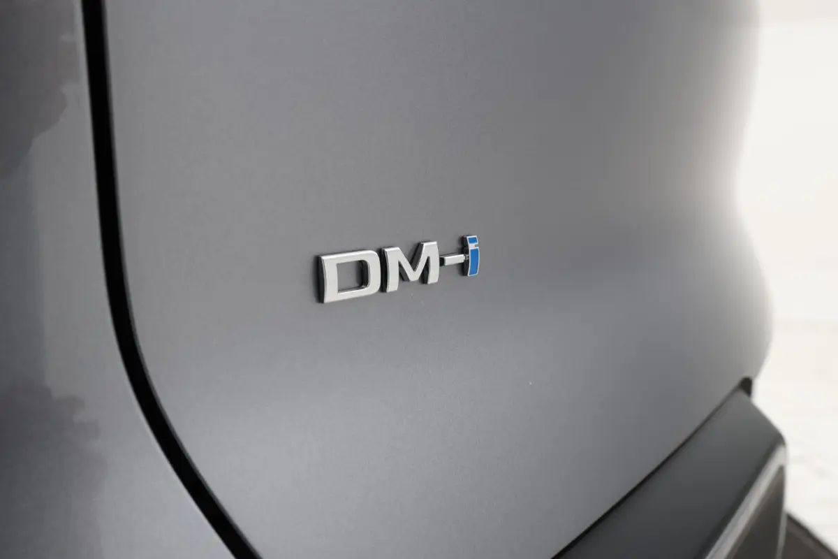 1.5 DM-i Active Plug in! Voorraad, Nieuw