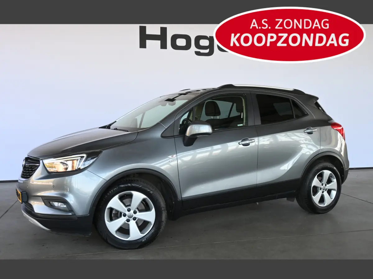 1.4 Turbo Innovation Automaat Cruise control Airco Trekhaak Camera Stoelverwarming Inruil Mogelijk!