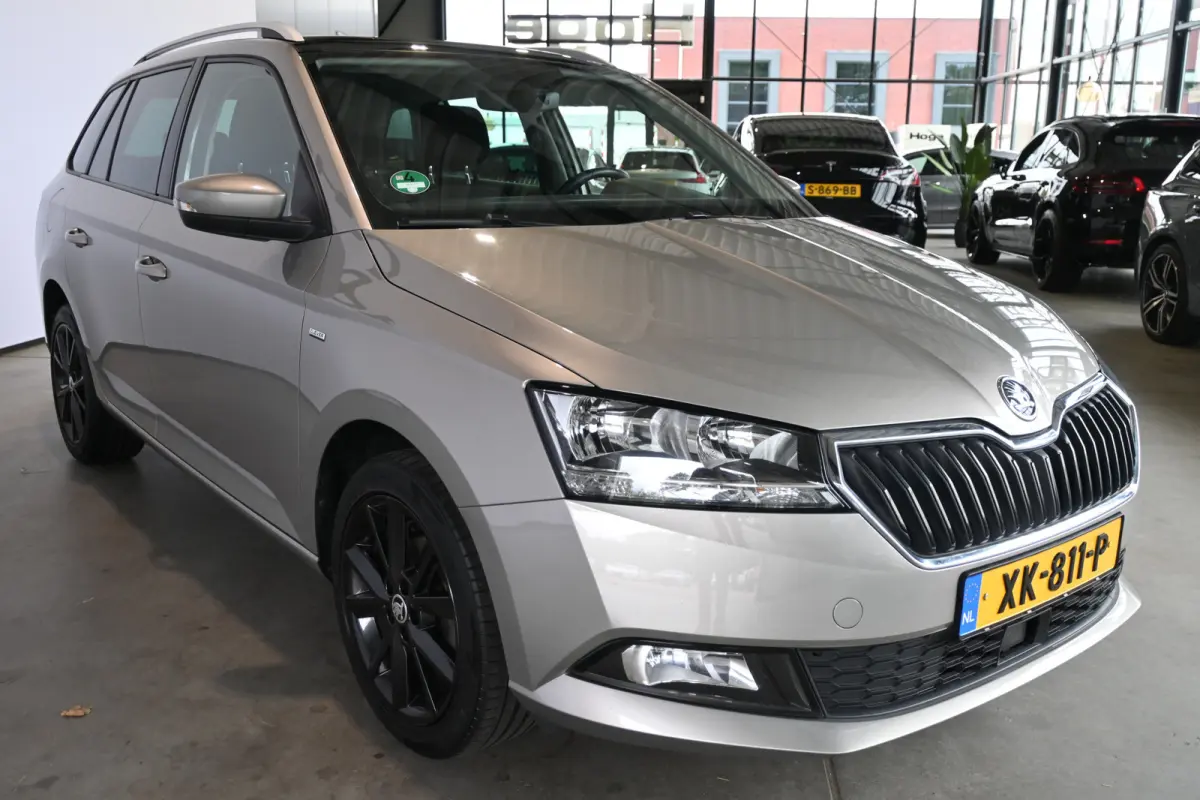 1.0 TSI Clever Clima Navigatie Panoramadak LED Stoelverwarming Rijklaarprijs! Inruil Mogelijk!