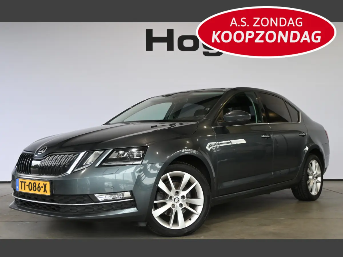 1.0 TSI Greentech Style Business Automaat Navigatie Carplay Stoelverwarming Inruil Mogelijk!