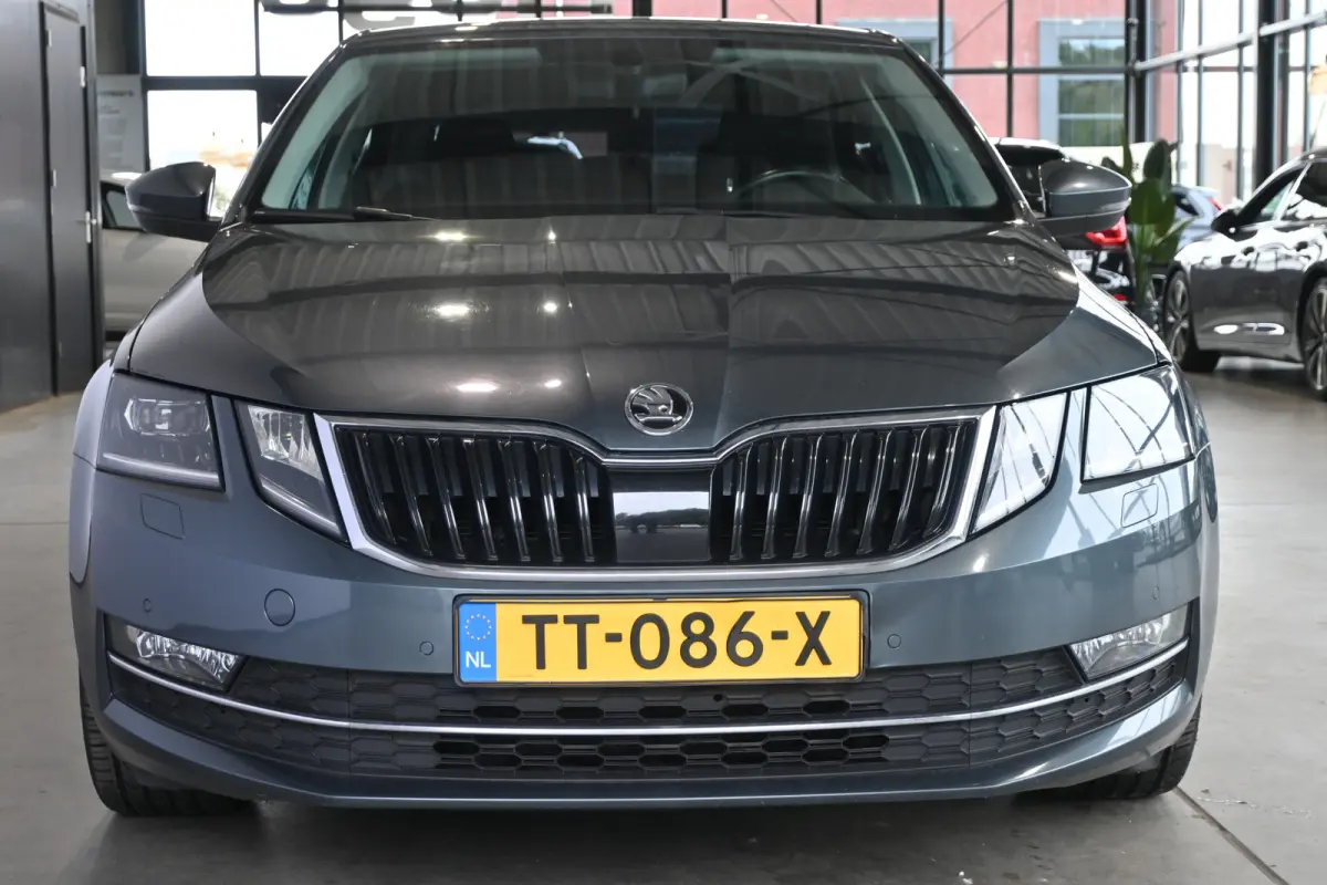 1.0 TSI Greentech Style Business Automaat Navigatie Carplay Stoelverwarming Inruil Mogelijk!