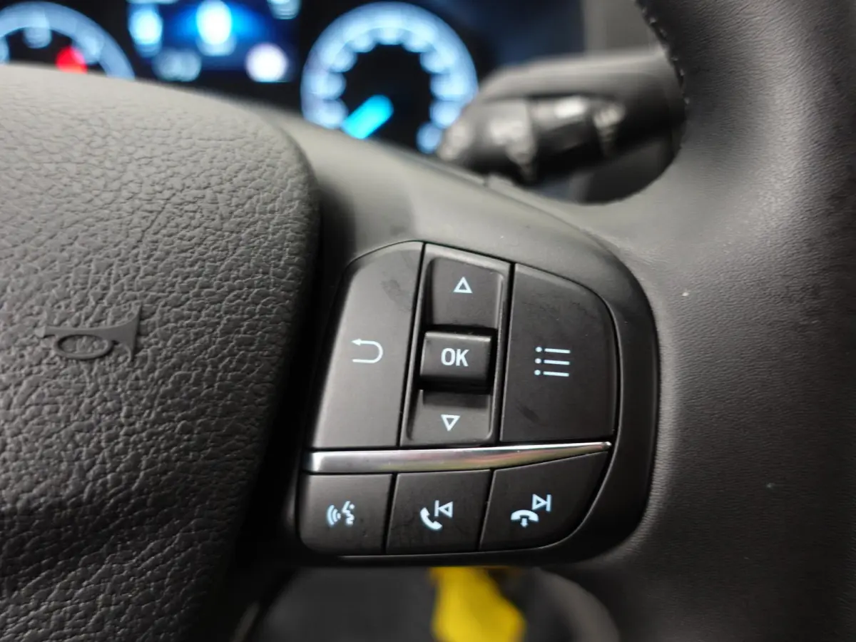 310 2.0 TDCI L2H2 Trend Automaat Airco Bluetooth Camera  Cruise Control
