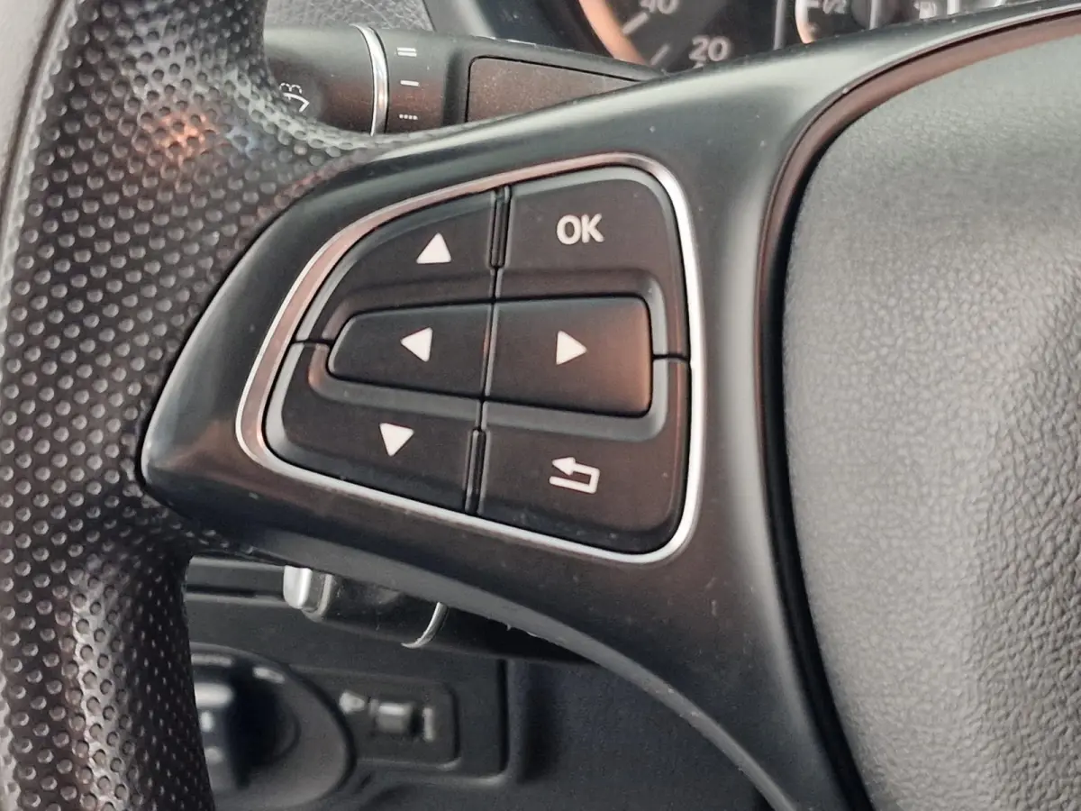 114 CDI Lang Airco Cruise Control Achterklep Trekhaak