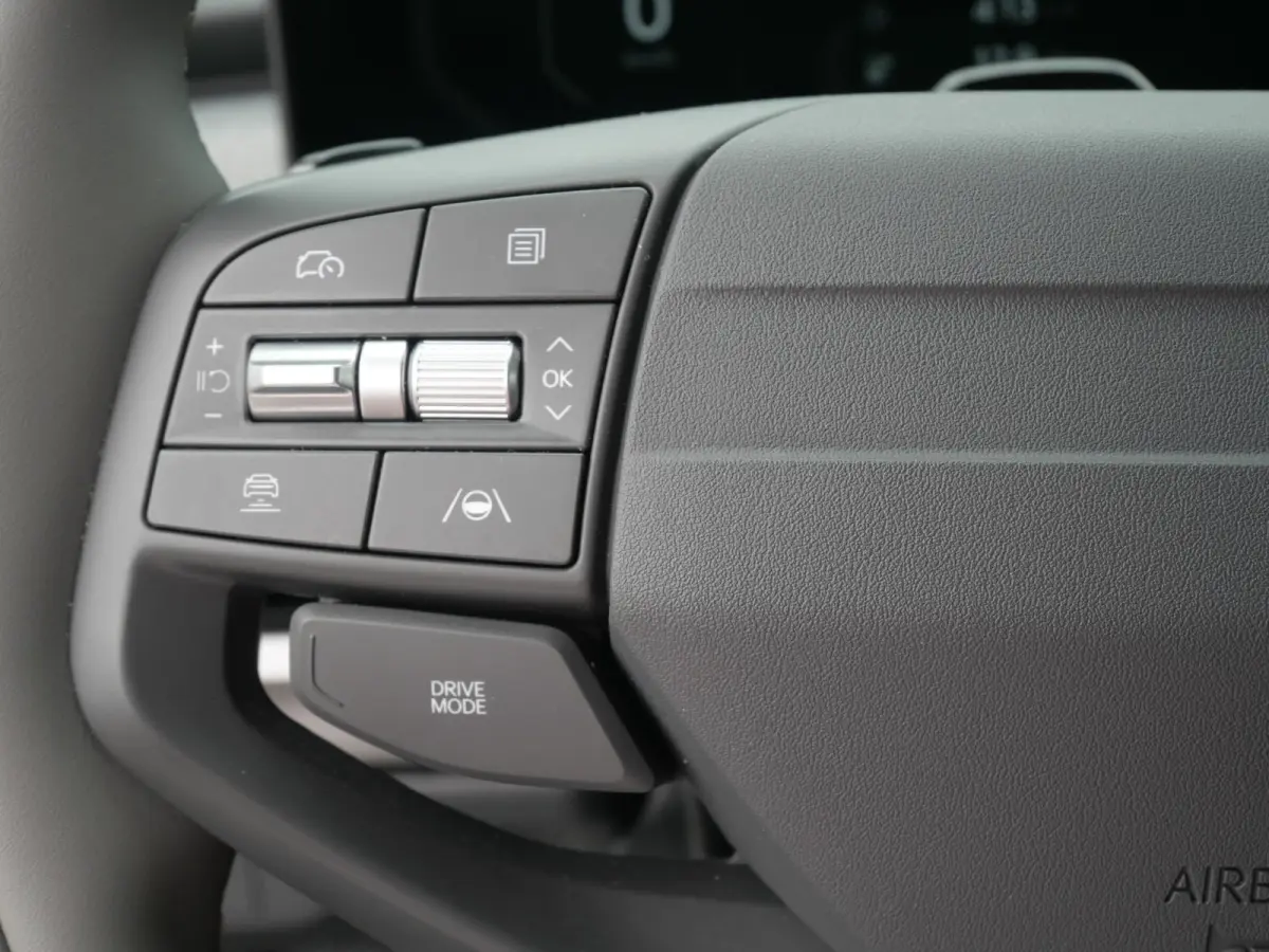 Plus 81.4 kWh | Stoel-stuurverwarming | Adaptive Cruise |