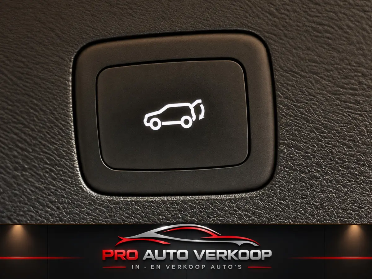 1.5 TGDI Luxury 360 camera_Panorama_Leder_Virtual cockpit
