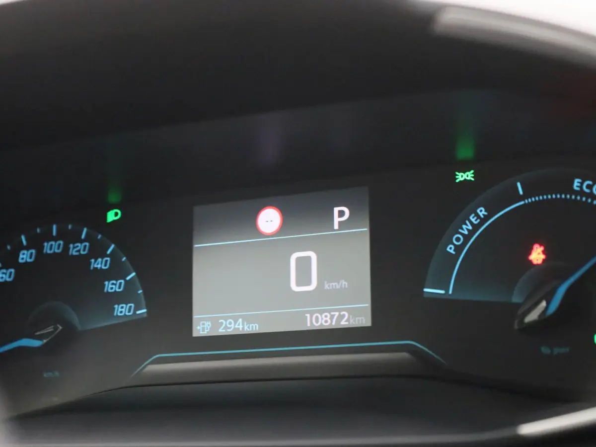 EV Active 50 kWh | CAMERA | NAVIGATIE | KLIMAATREGELING | CRUISE CONTROL
