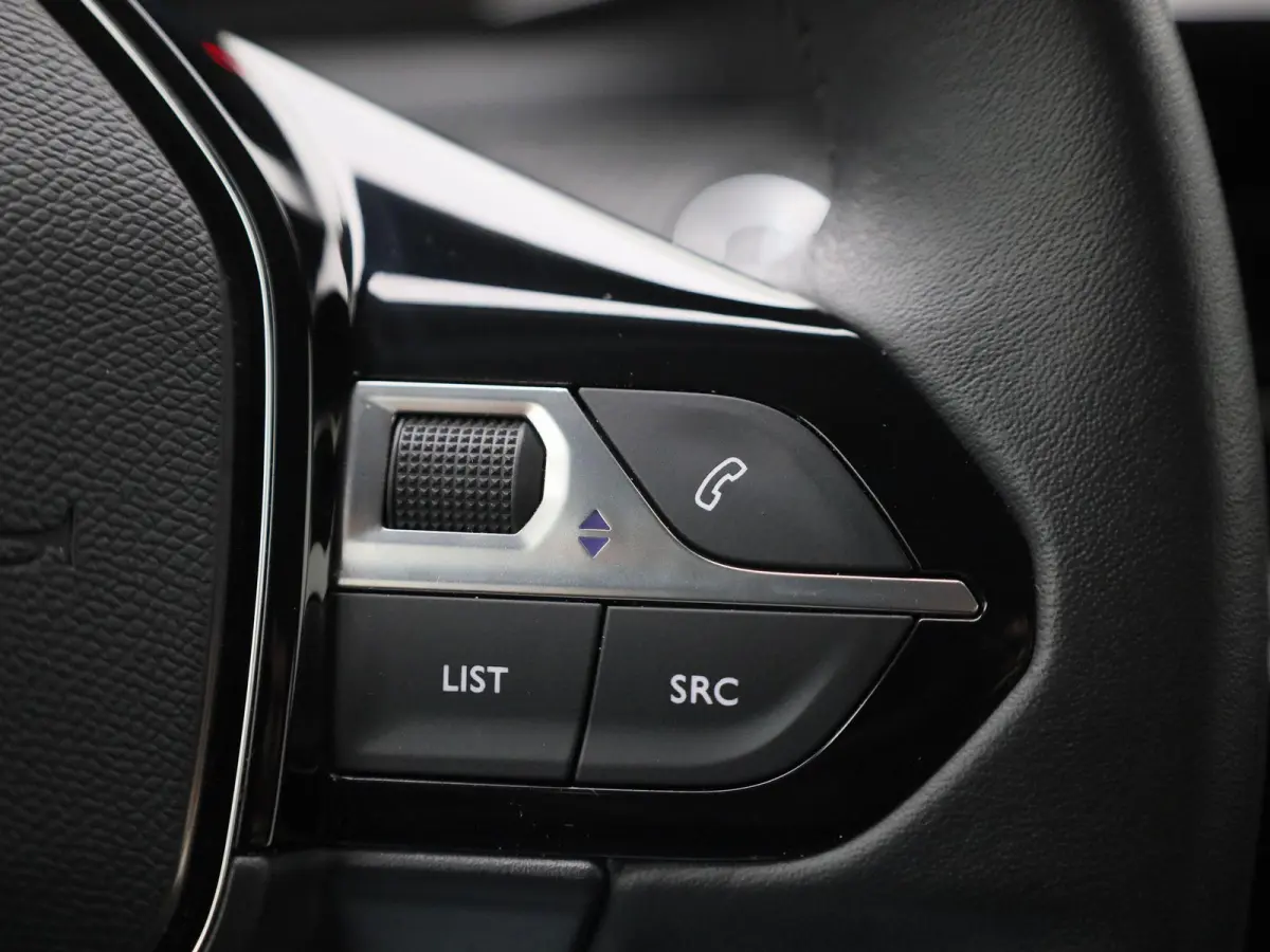 EV Active 50 kWh | CAMERA | NAVIGATIE | KLIMAATREGELING | CRUISE CONTROL
