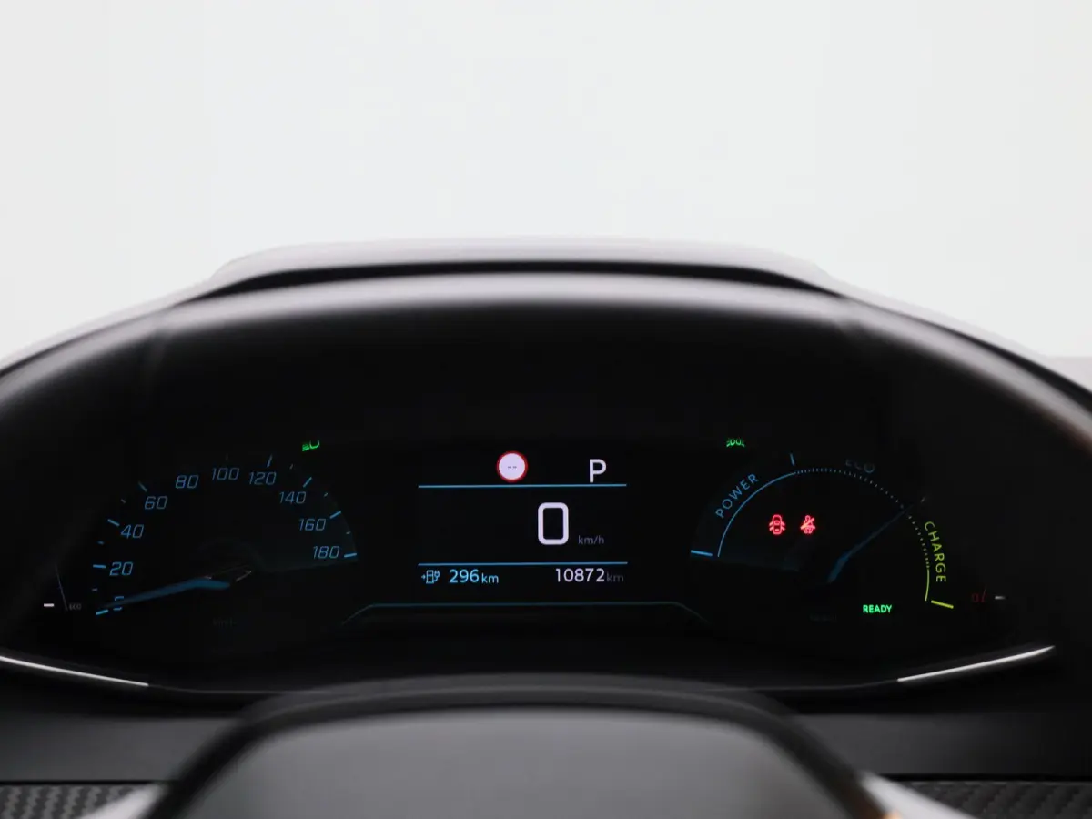 EV Active 50 kWh | CAMERA | NAVIGATIE | KLIMAATREGELING | CRUISE CONTROL