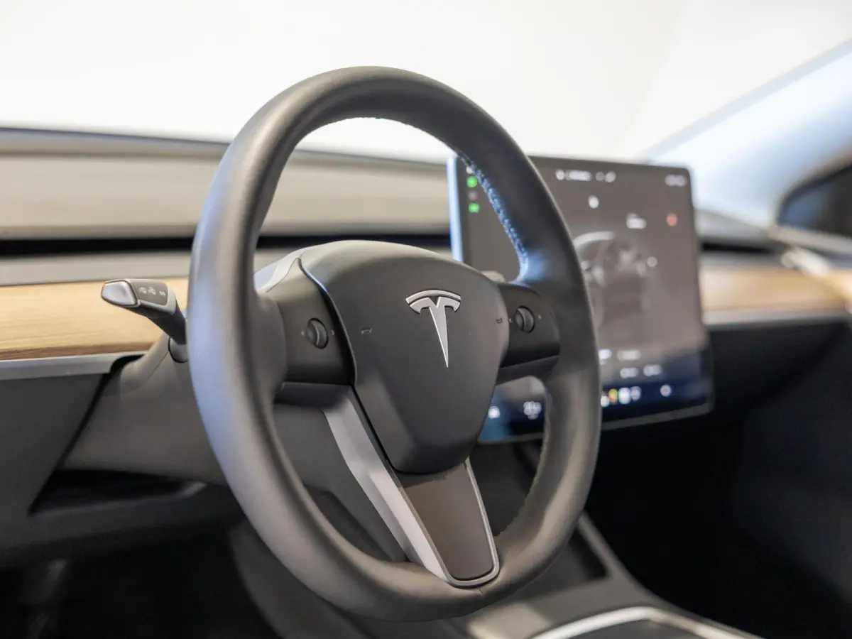 RWD 58 kWh SOH 91% / 299pk / Trekhaak /