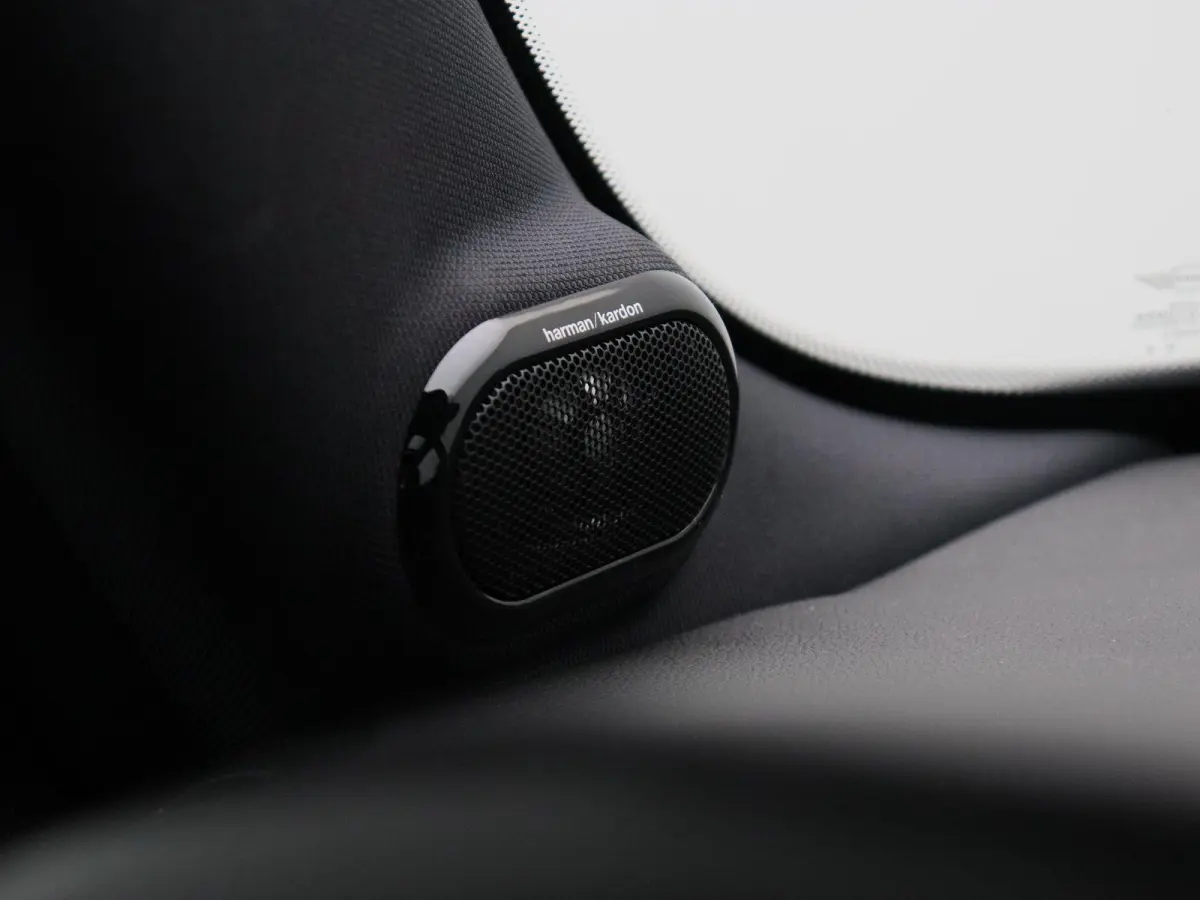 Resolute Edition + Stuurwielrand verwarmd + Panoramadak + Extra Getint Glas Achter + Harman Kardon + 17''