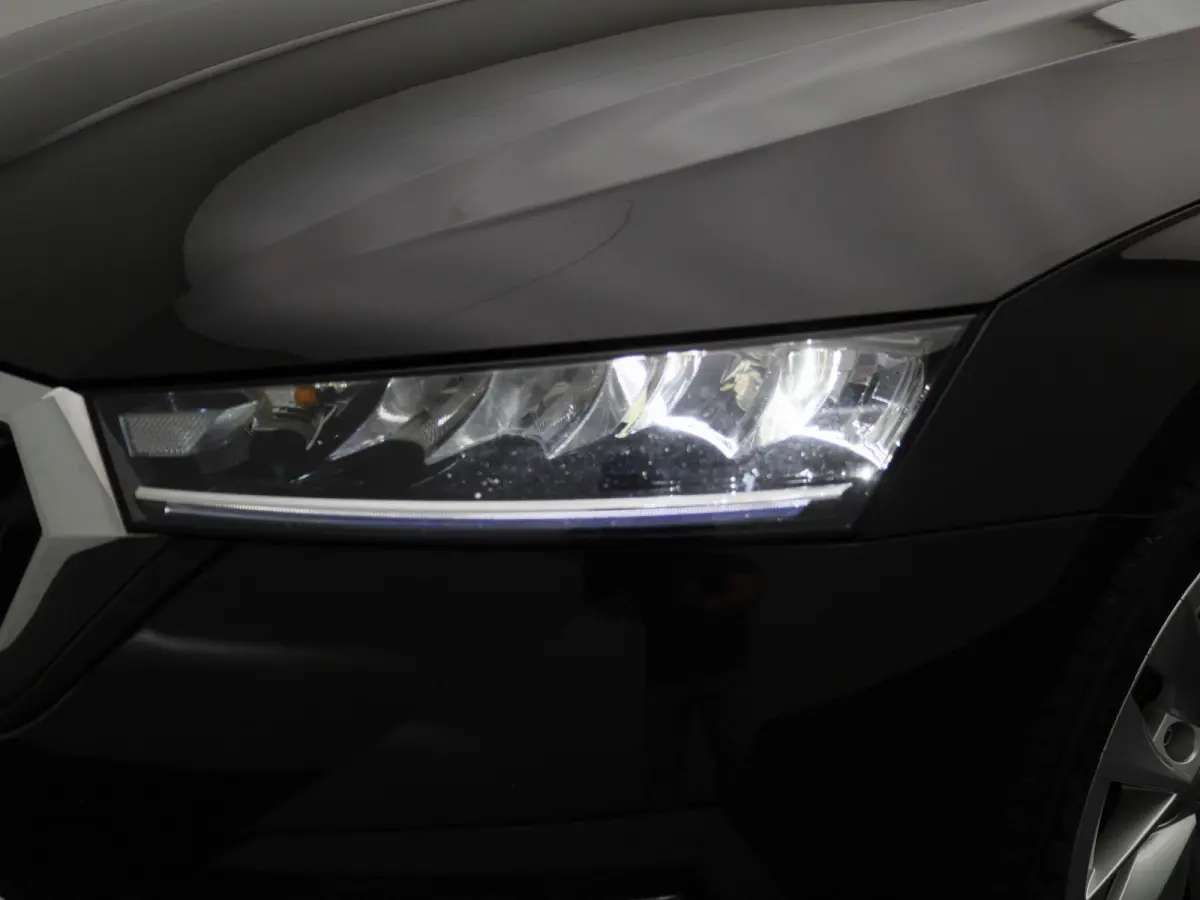 1.5 e-TSI Business Edition Plus | Trekhaak | Achteruitrijcamera | Head-up display | Elektrische stoelen | Carplay |