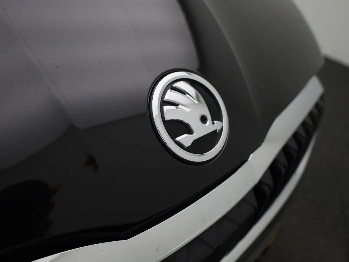 1.5 e-TSI Business Edition Plus | Trekhaak | Achteruitrijcamera | Head-up display | Elektrische stoelen | Carplay |