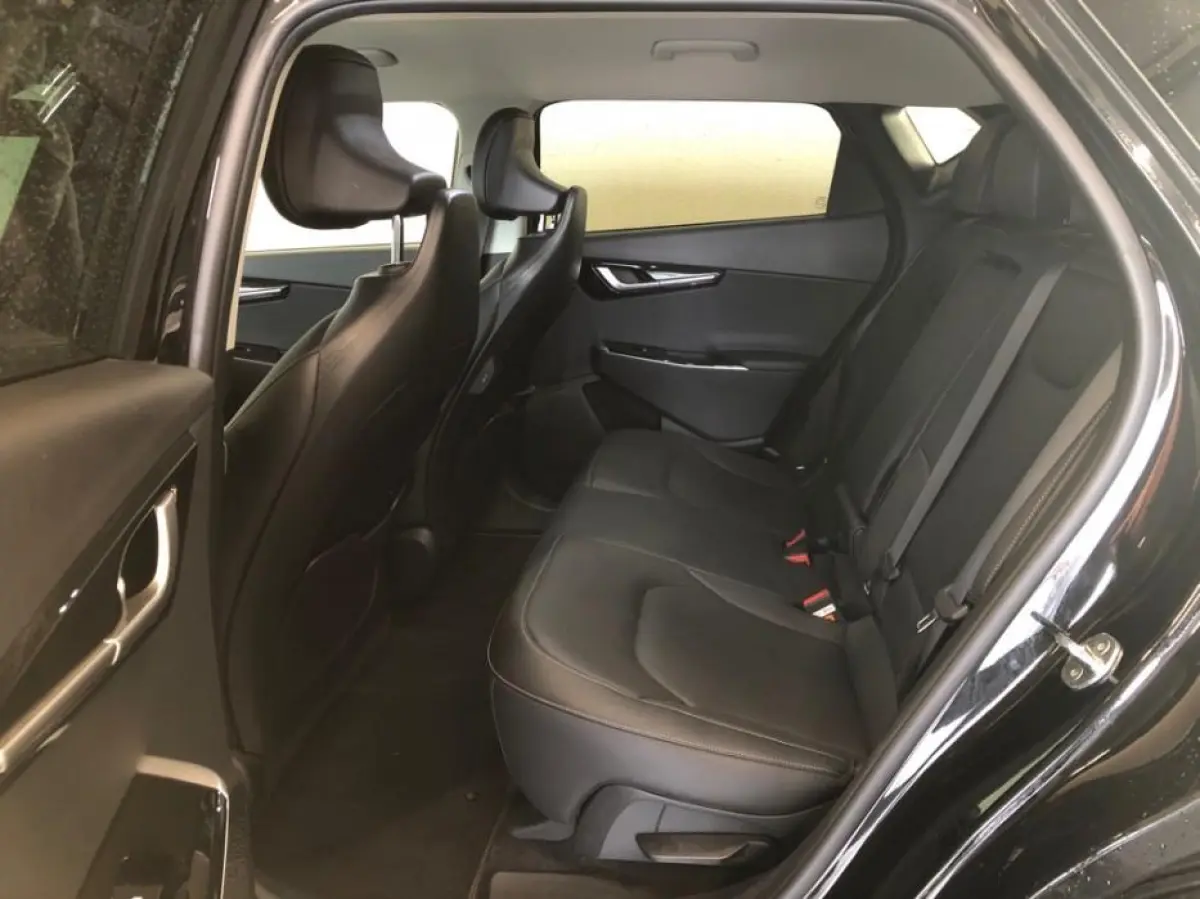 Earth 77.4 kWh | Lederen Bekl. | Achteruitrijcamera | Stoelverw. | SoH 96,1 % |