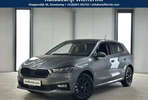 1.0 TSI 115 pk DSG Edition | Apple Carplay/Android Auto | Camera | Winter Pakket |