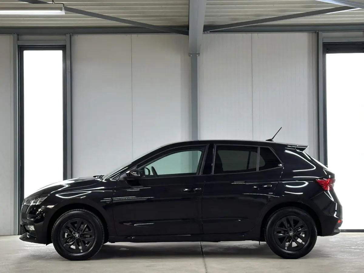1.0 TSI 115 pk DSG Edition | Apple Carplay/Android Auto | Camera | Winter Pakket |