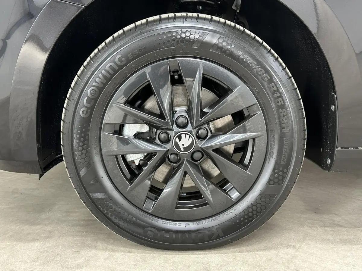 1.0 TSI 115 pk DSG Edition | Apple Carplay/Android Auto | Camera | Winter Pakket |