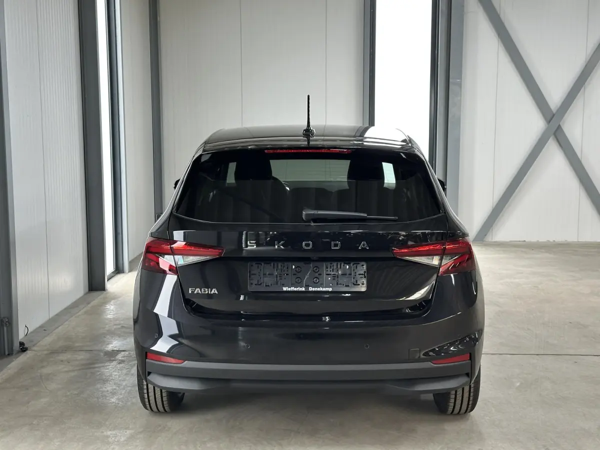 1.0 TSI 115 pk DSG Edition | Apple Carplay/Android Auto | Camera | Winter Pakket |