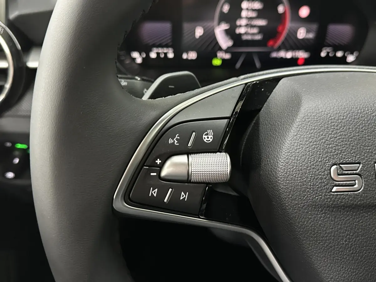 1.0 TSI 115 pk DSG Edition | Apple Carplay/Android Auto | Camera | Winter Pakket |