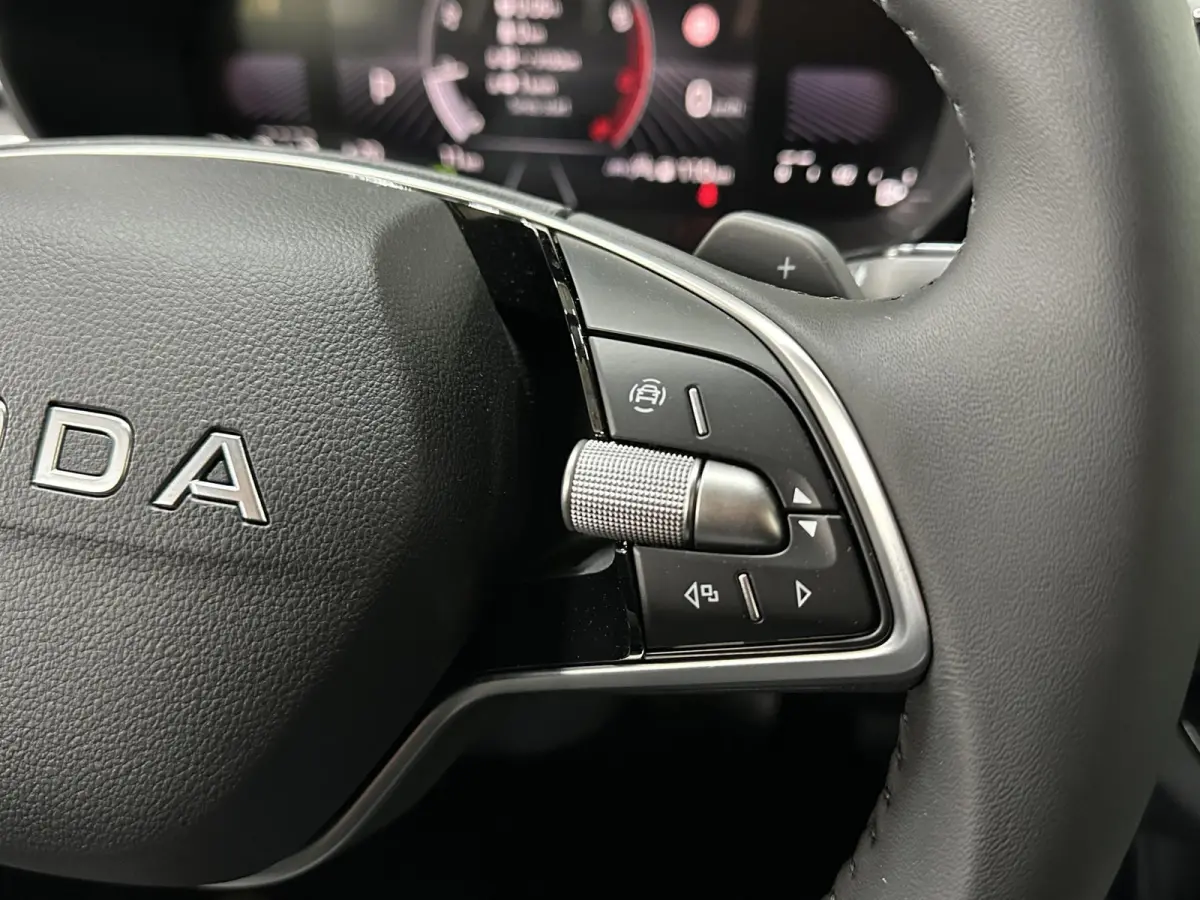 1.0 TSI 115 pk DSG Edition | Apple Carplay/Android Auto | Camera | Winter Pakket |