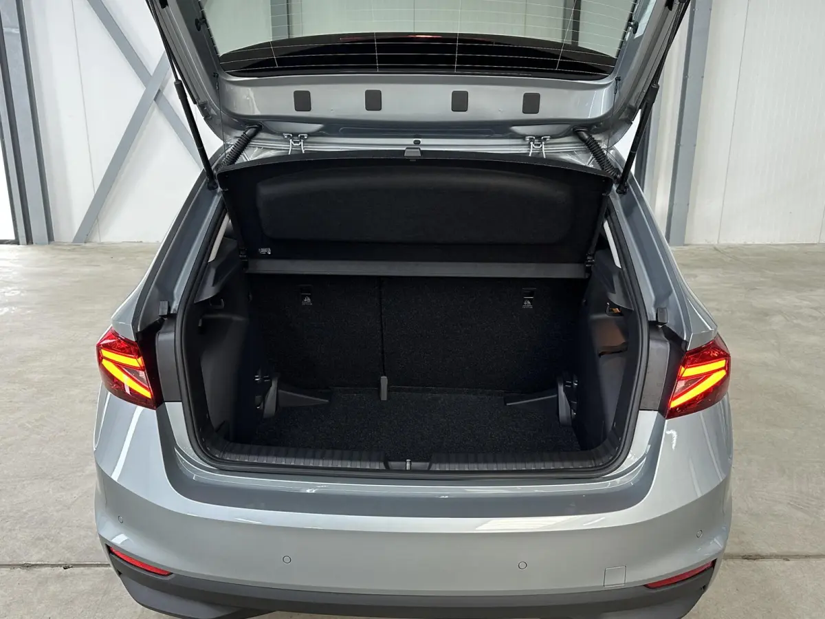 1.0 TSI 115 pk DSG Edition | Apple Carplay/Android Auto | Camera | Winter Pakket |