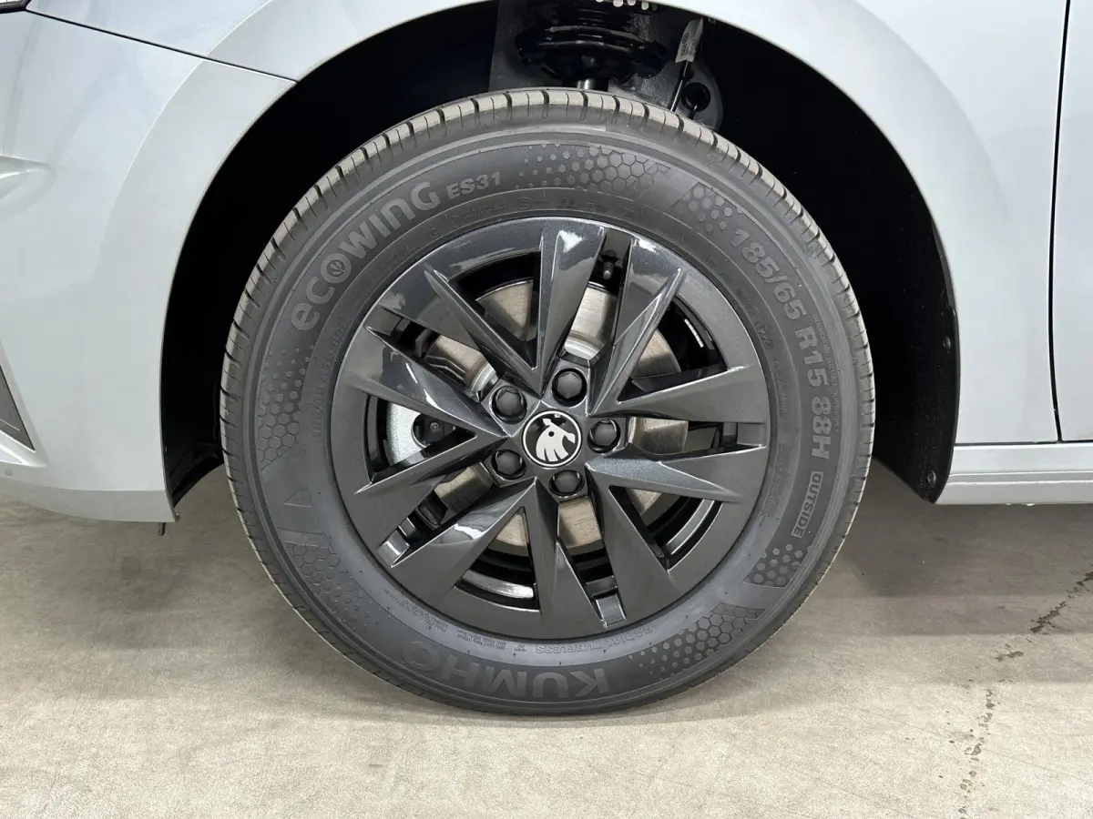 1.0 TSI 115 pk DSG Edition | Apple Carplay/Android Auto | Camera | Winter Pakket |